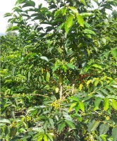 /album/www-kqe-ch/screenshot-04-08-007-jpg/